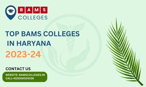 TOP BAMS Colleges in Haryana 2023 BAMS Colleges