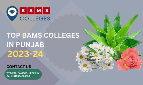 TOP BAMS Colleges in Punjab 2023 BAMS Colleges