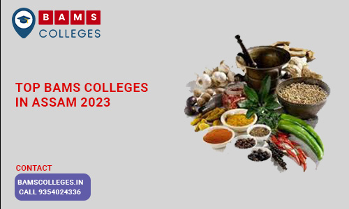 Top BAMS Colleges in Assam 2023 BAMS Colleges