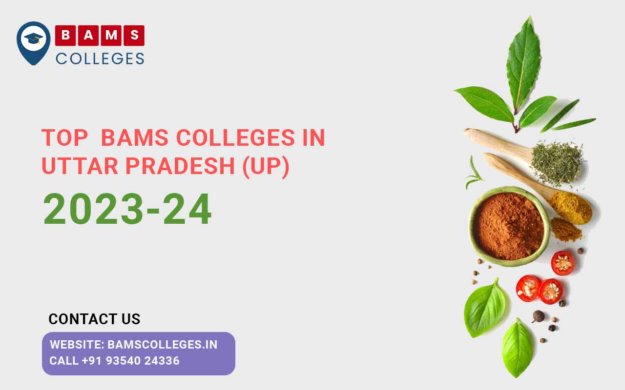 Top BAMS Colleges in UP 2023 BAMS Colleges