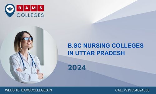 B.Sc Nursing Colleges in Uttar Pradesh 2024